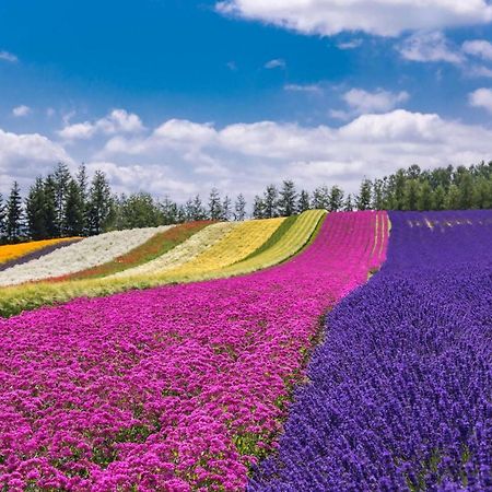 Furano View House Villa Екстериор снимка